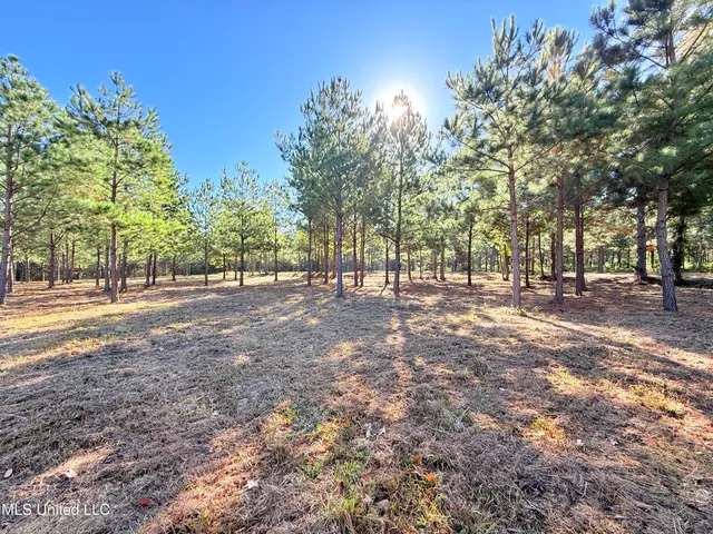 $199,000 | Stout Farms Drive, Canton, MS 39046