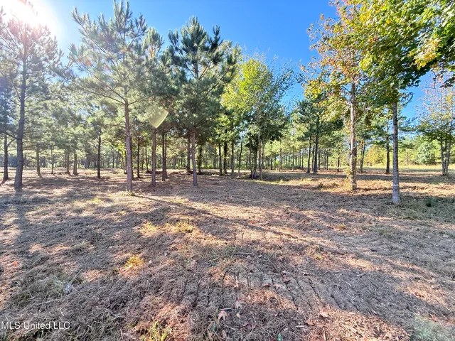 $199,000 | Stout Farms Drive, Canton, MS 39046