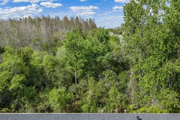 a backyard of a house with large tree and wooden fence