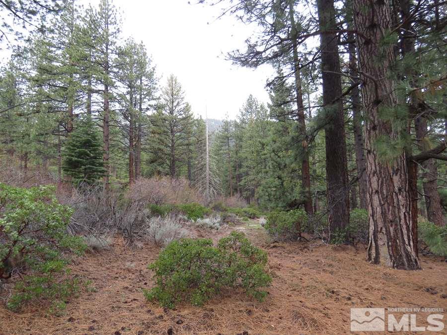 2800 Old Ranch Road Washoe Valley, NV 89704 - Photo 2 of 7 Photo 2