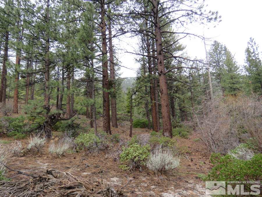 2800 Old Ranch Road Washoe Valley, NV 89704 - Photo 3 of 7 Photo 3