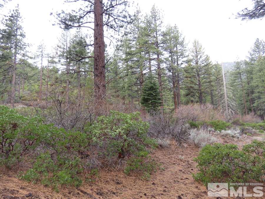2800 Old Ranch Road Washoe Valley, NV 89704 - Photo 4 of 7 Photo 4