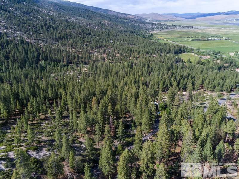 2800 Old Ranch Road Washoe Valley, NV 89704 - Photo 6 of 7 Photo 6