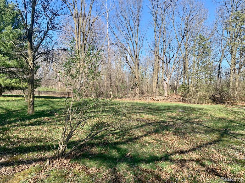 665 E Ridge South Lyon, MI 48178 - Photo 6 of 17