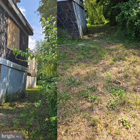 a view of a backyard