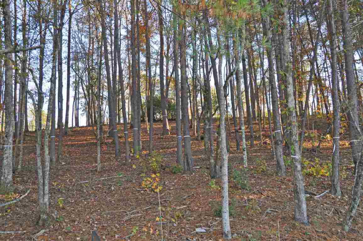 394 Peninsula Ridge, Unit P 88 Sunset, SC 29685 - Photo 5 of 15 Gallery Image 5