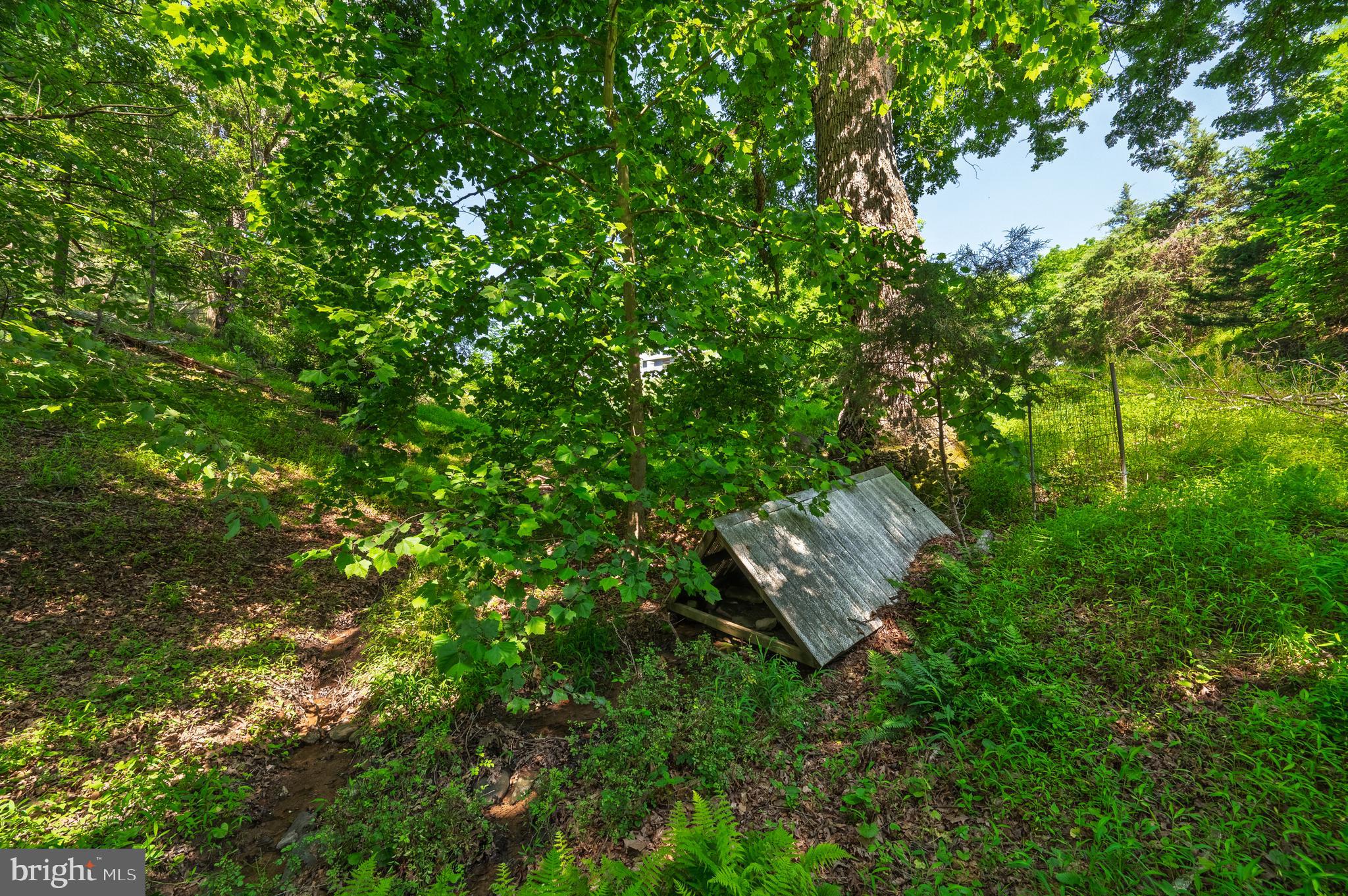 1499 Pious Ridge Road Berkeley Springs, WV 25411 - Photo 38 of 47 Gallery Image 38