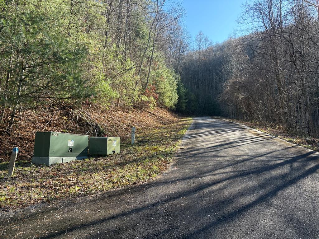 68-acres Ponderosa Road Rabun Gap, GA 30568 - Photo 24 of 25 a view of a backyard of the house
