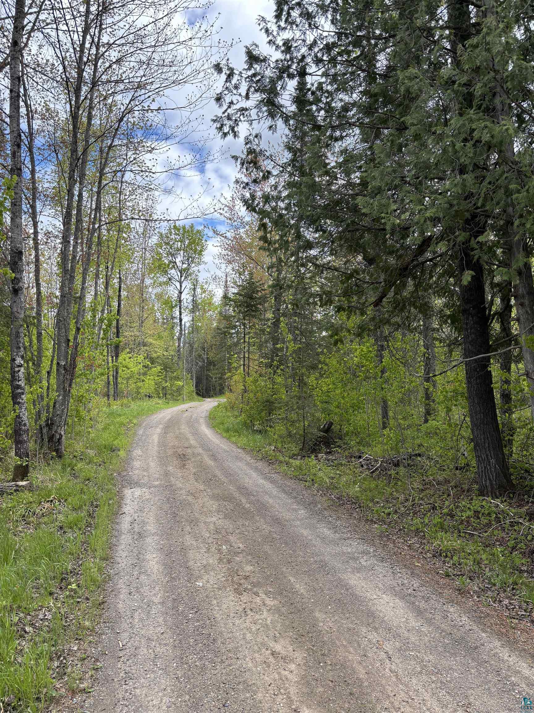 7238 Morris Thomas Road Cloquet, MN 55720 - Photo 25 of 27 View of dirt / gravel road featuring a wooded view