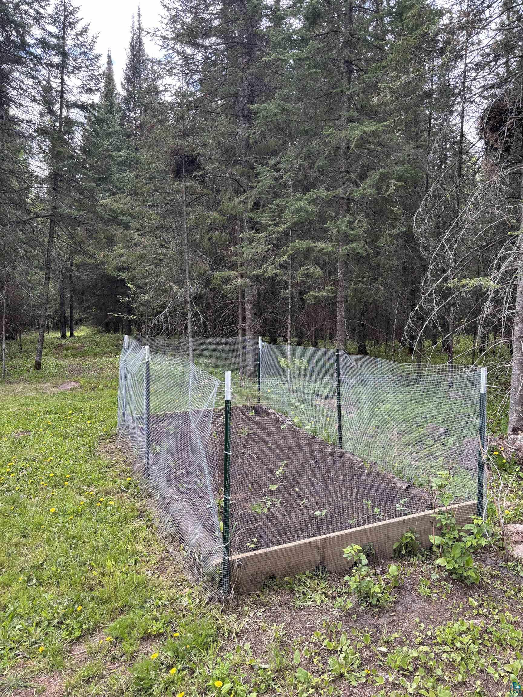 7238 Morris Thomas Road Cloquet, MN 55720 - Photo 26 of 27 View of yard featuring a view of trees and a vegetable garden