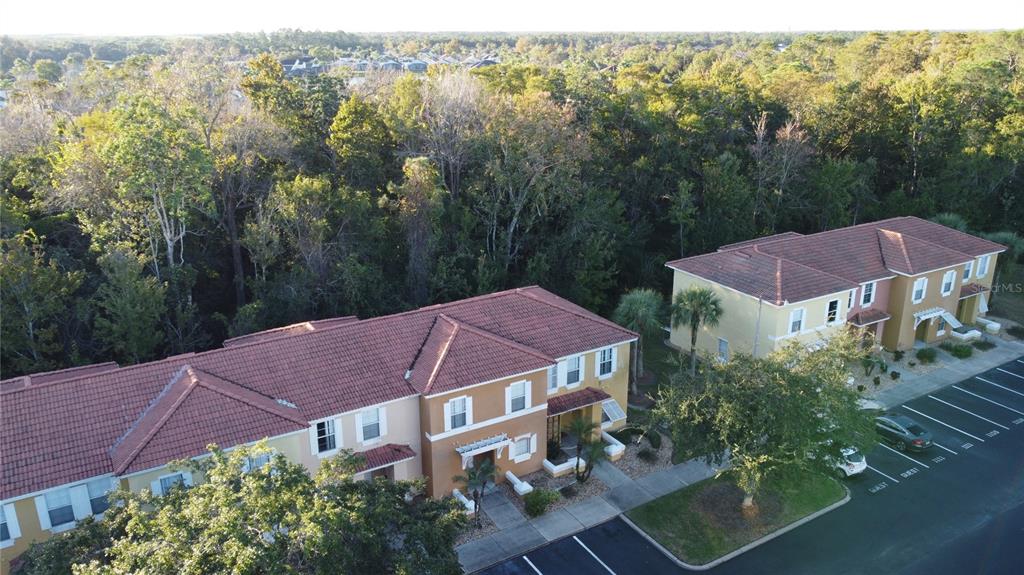 1115 Park Ridge Circle Kissimmee, FL 34746 - Photo 62 of 92