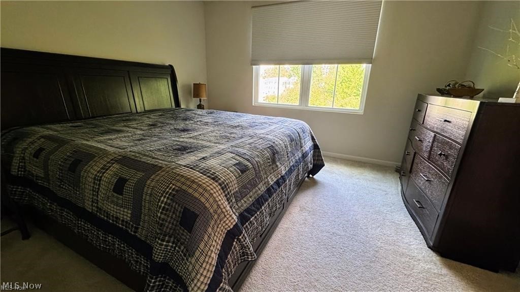 196 Raintree Lane Painesville, OH 44077 - Photo 9 of 16