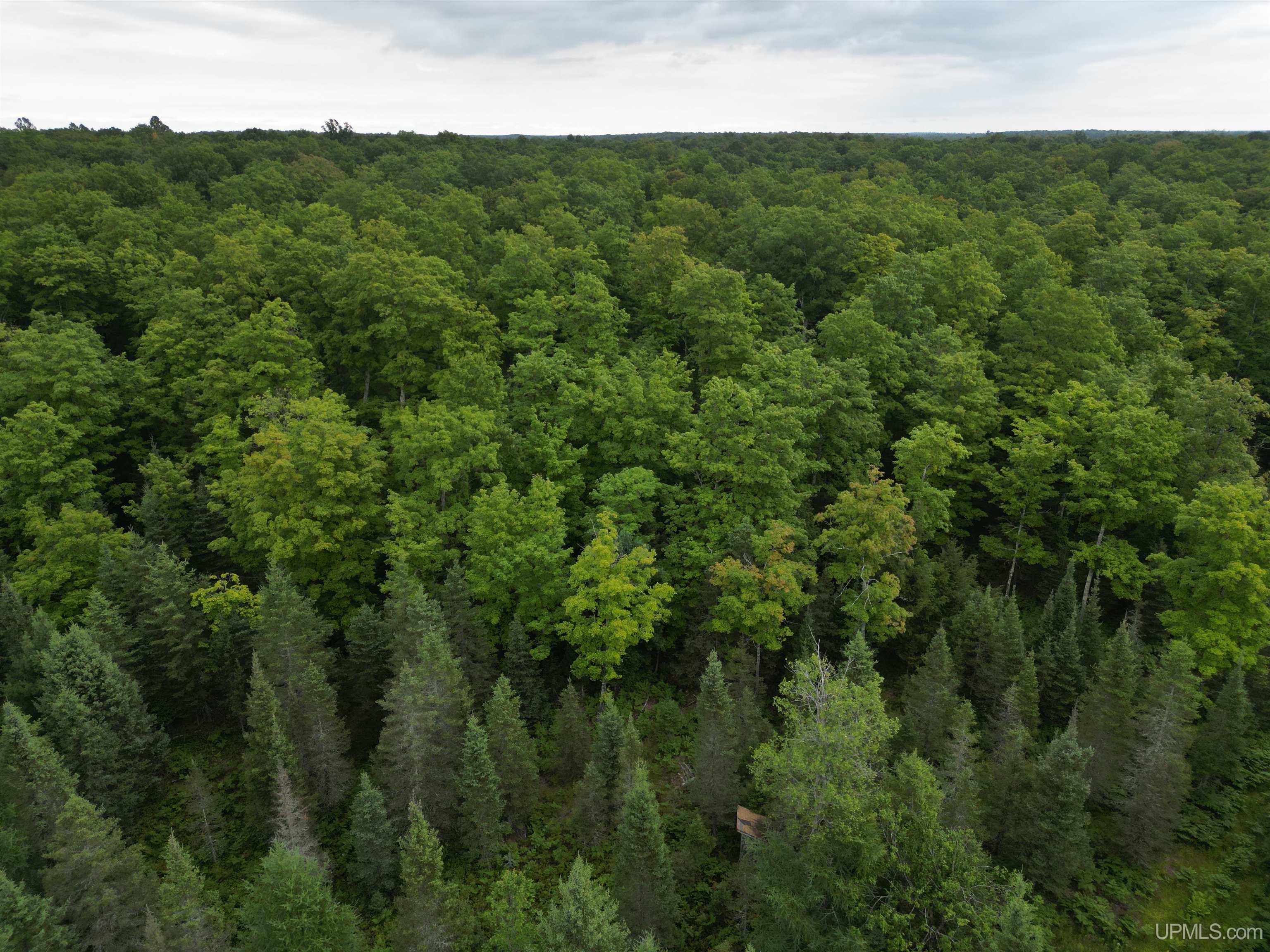 Tbd Tbd County Road, Unit 1 Cornell, MI 49818 - Photo 3 of 41