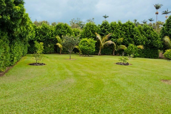 18-1573 Volcano Road Mountain View, HI 96771 - Photo 19 of 25 Gallery Image 19