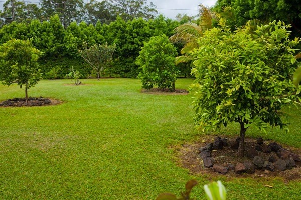 18-1573 Volcano Road Mountain View, HI 96771 - Photo 20 of 25 Gallery Image 20