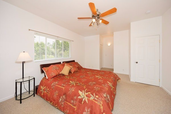 18-1573 Volcano Road Mountain View, HI 96771 - Photo 9 of 25 Gallery Image 9
