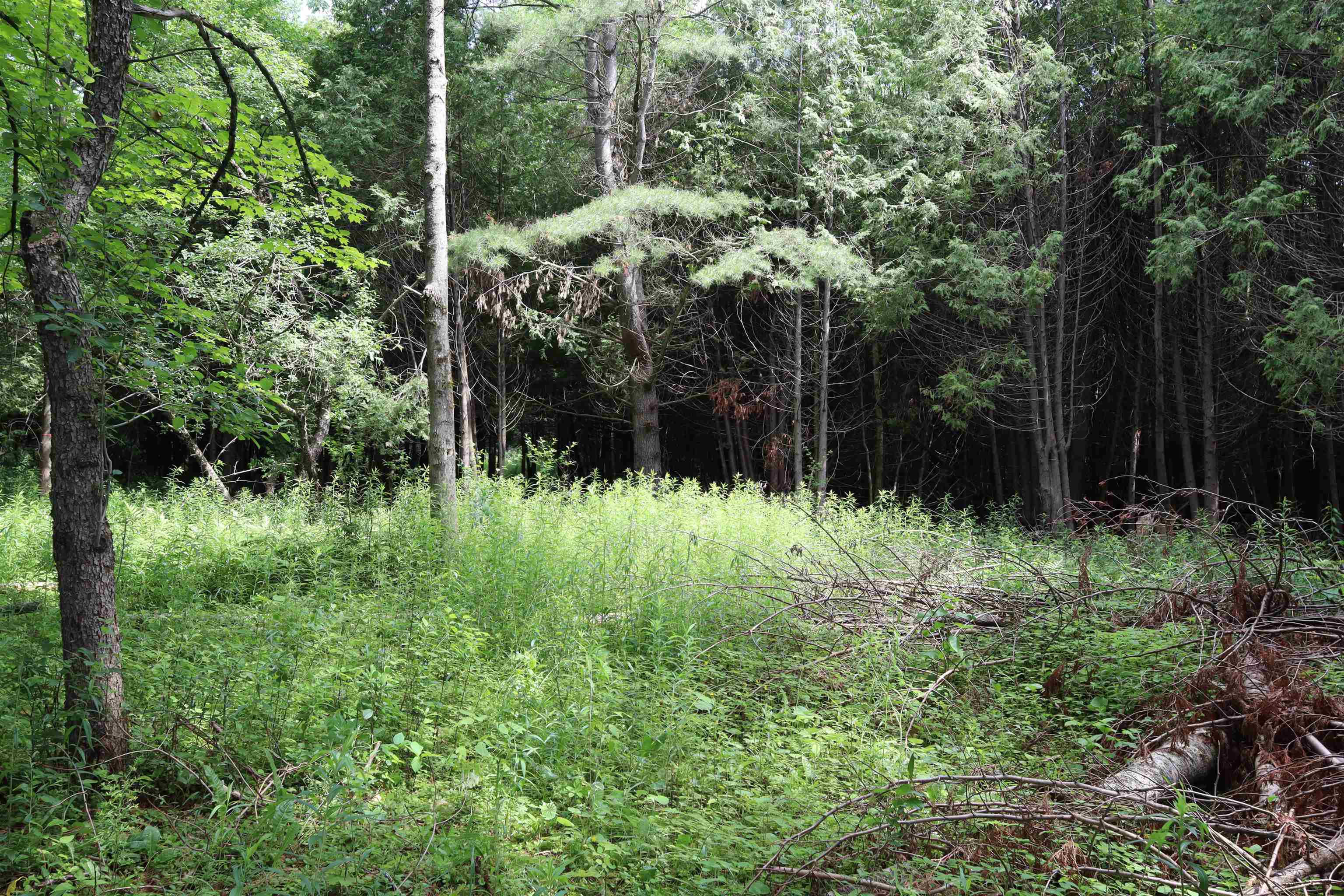 0 Richardson Road Barre, VT 05641 - Photo 11 of 15