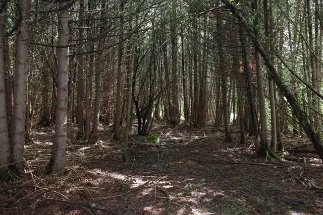 $95,000 | 0 Richardson Road, Barre, VT 05641