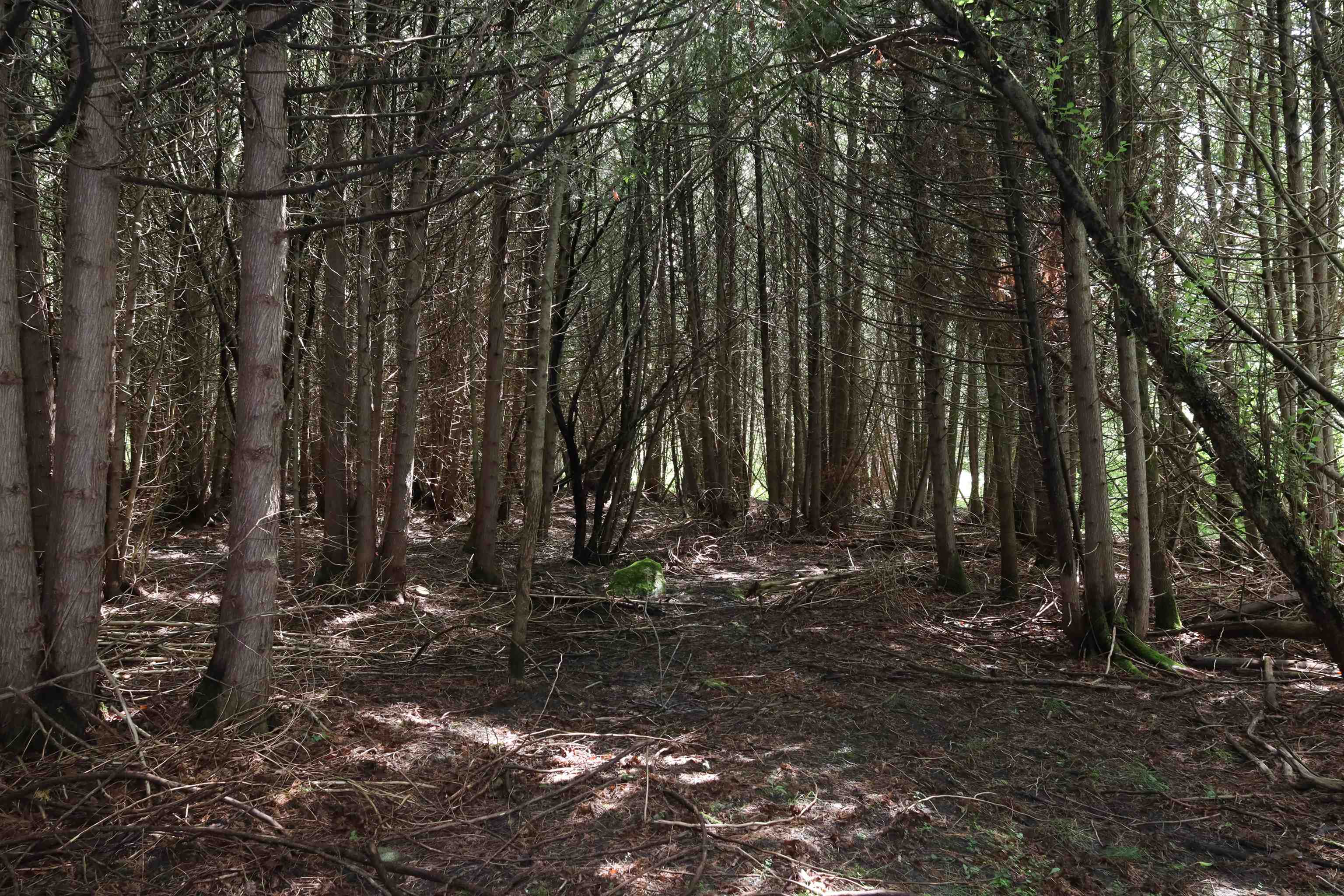 0 Richardson Road Barre, VT 05641 - Photo 13 of 15