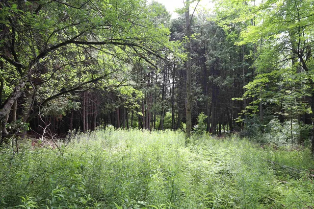 $95,000 | 0 Richardson Road, Barre, VT 05641