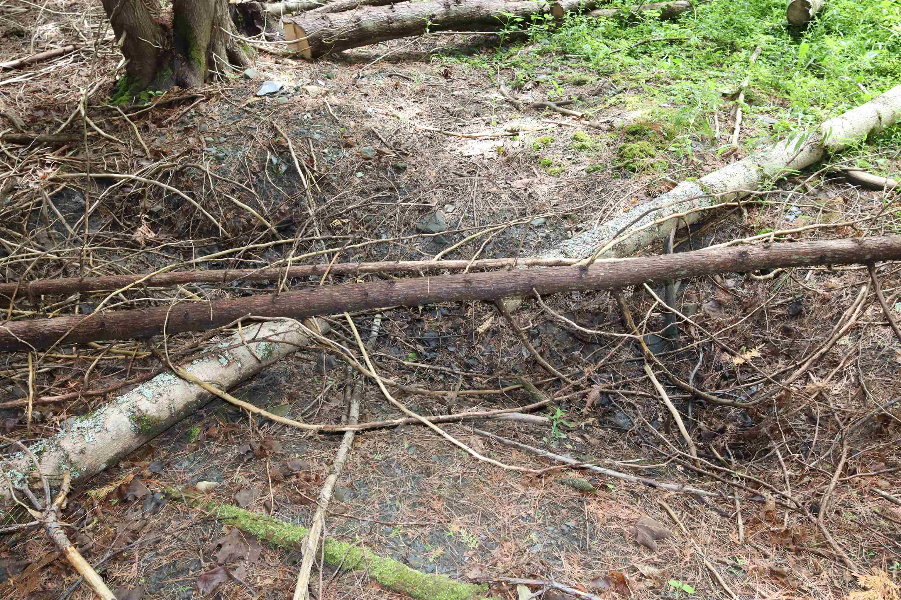 0 Richardson Road Barre, VT 05641 - Photo 15 of 15