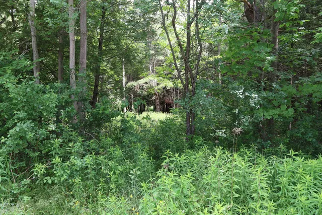 $95,000 | 0 Richardson Road, Barre, VT 05641