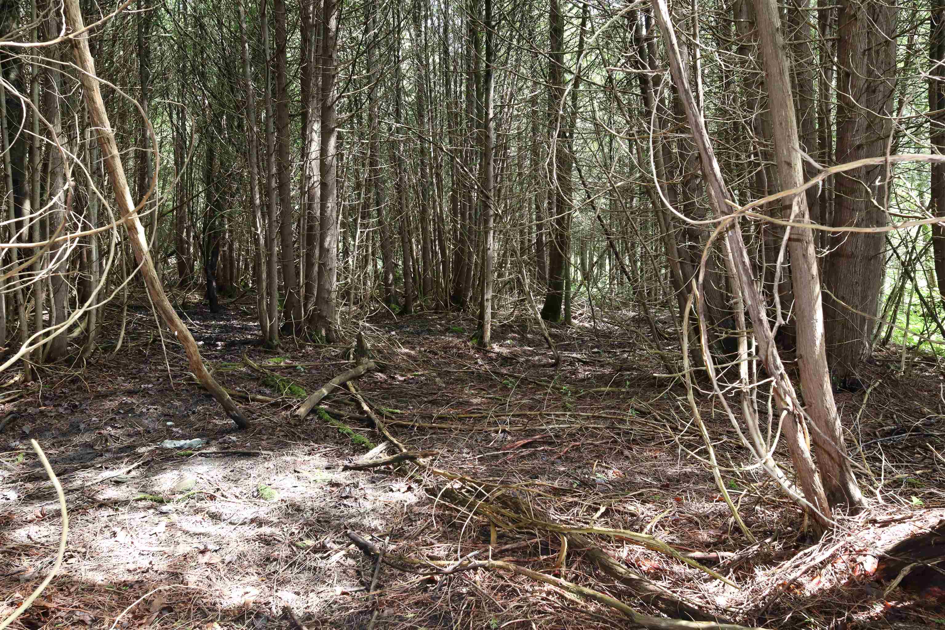 0 Richardson Road Barre, VT 05641 - Photo 7 of 15