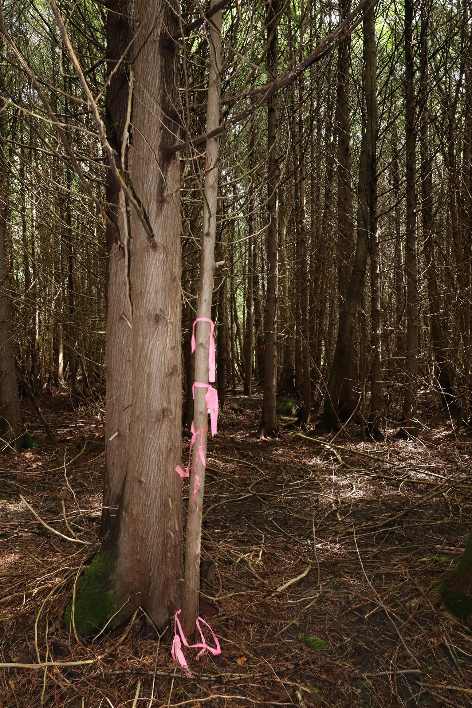 0 Richardson Road Barre, VT 05641 - Photo 8 of 15