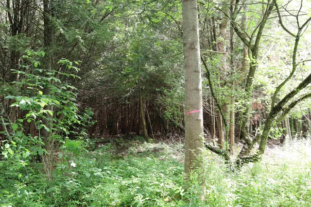 $95,000 | 0 Richardson Road, Barre, VT 05641