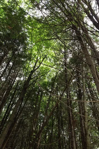 $95,000 | 0 Richardson Road, Barre, VT 05641