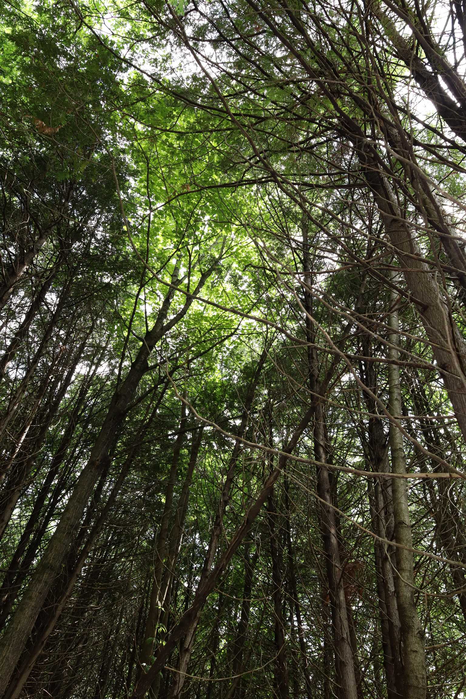 0 Richardson Road Barre, VT 05641 - Photo 10 of 15