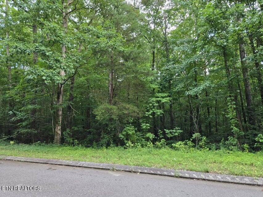 144 Lot Road Dunlap, TN 37327 - Photo 1 of 6 1