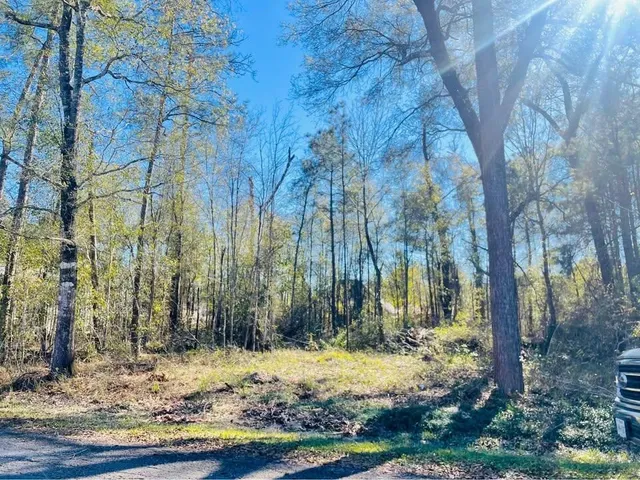 a view of a backyard of the house