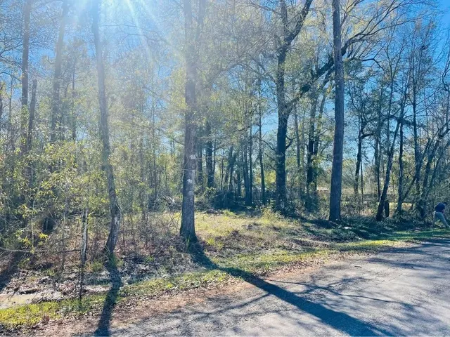 a view of a backyard with trees