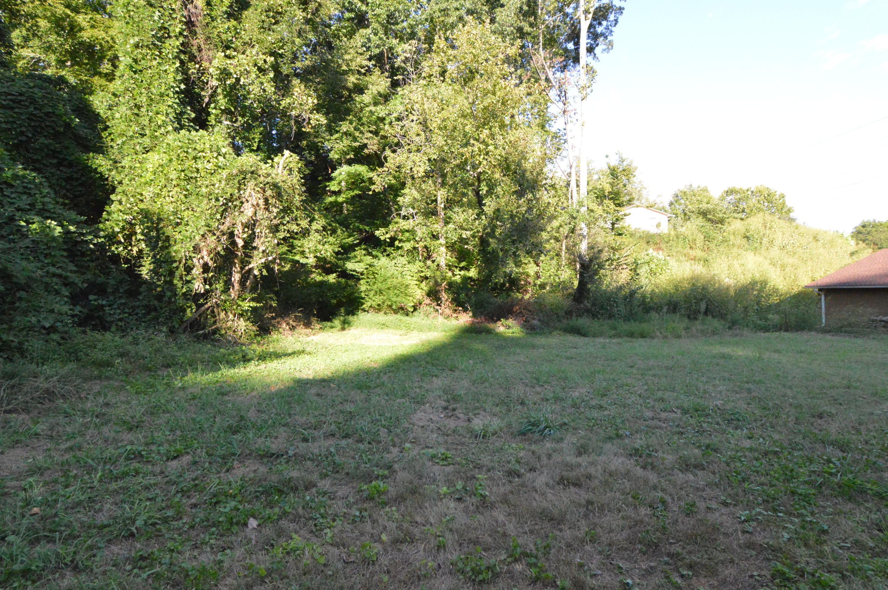 208 Northwest Bazel Road Harriman, TN 37748 - Photo 8 of 37 Back Yard