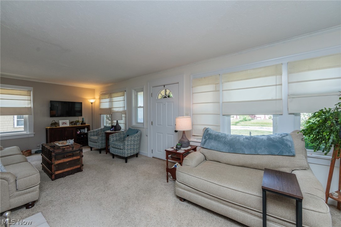 5364 Summit Road Lyndhurst, OH 44124 - Photo 11 of 42 Light-filled living room featuring neutral carpet flooring, multiple windows with roman shades, and a white paneled entry door with an arched glass insert