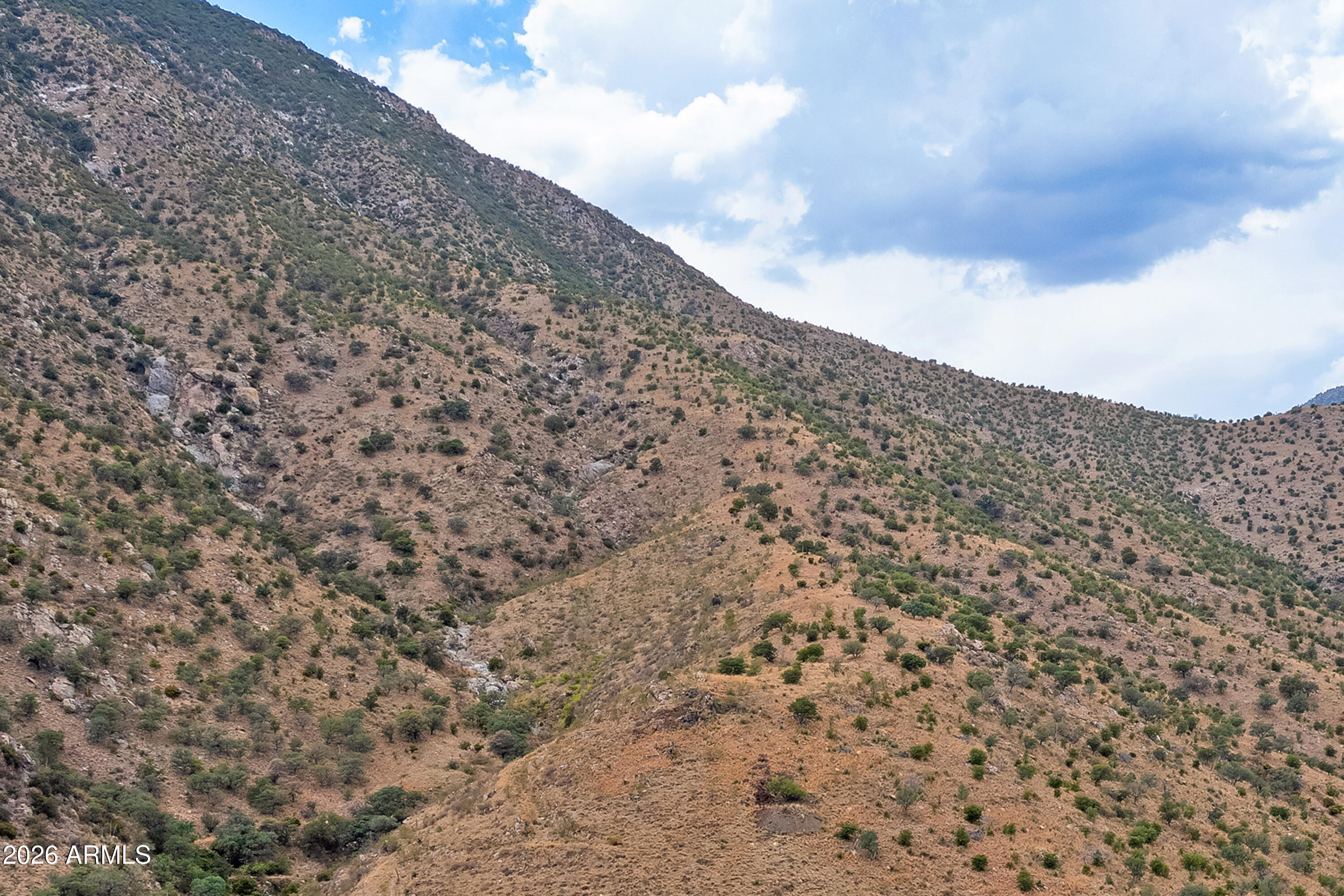 ** South Stone Ridge Road, Unit A Hereford, AZ 85615 - Photo 8 of 16 Aerial - 8