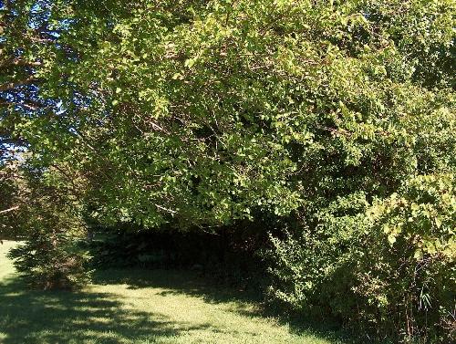 Lot 9 Denker Rd Street St. Charles, IL 60175 - Photo 1 of 8