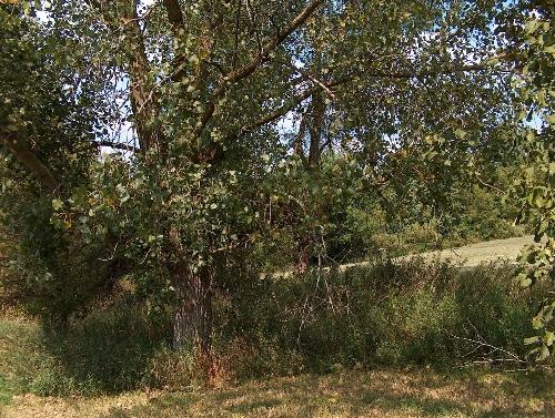 Lot 9 Denker Rd Street St. Charles, IL 60175 - Photo 2 of 8