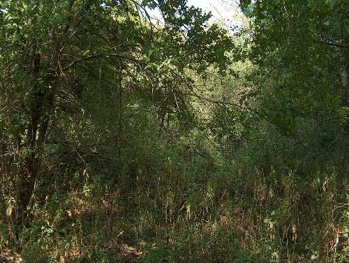 Lot 9 Denker Rd Street St. Charles, IL 60175 - Photo 3 of 8