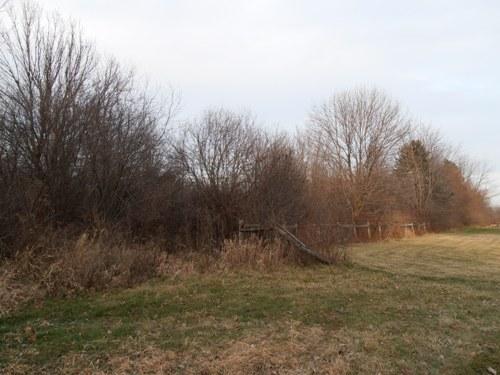 Lot 9 Denker Rd Street St. Charles, IL 60175 - Photo 5 of 8