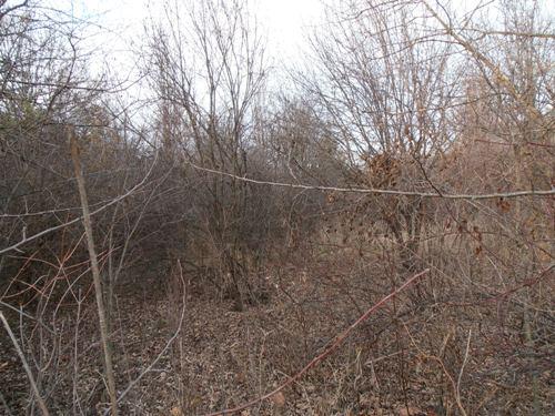 Lot 9 Denker Rd Street St. Charles, IL 60175 - Photo 6 of 8