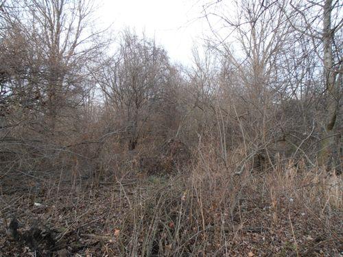 Lot 9 Denker Rd Street St. Charles, IL 60175 - Photo 7 of 8