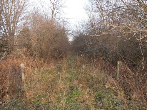 Lot 9 Denker Rd Street St. Charles, IL 60175 - Photo 8 of 8