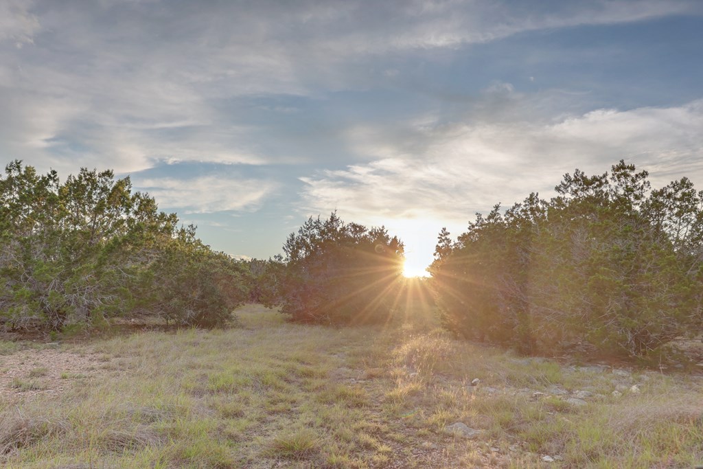 438 Yellowstone Lane Hunt, TX 78024 - Photo 31 of 47