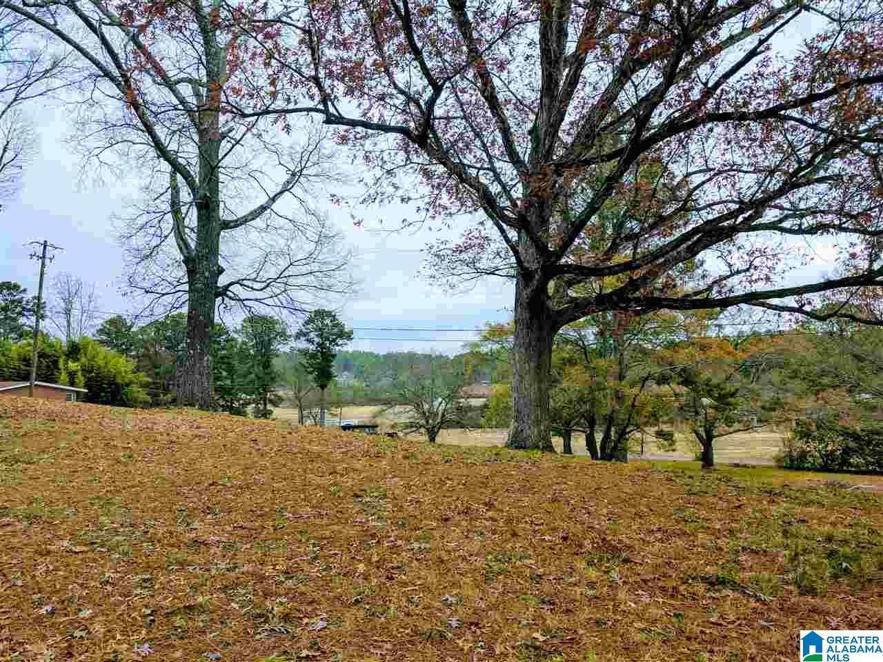 Baltzell Gate Road, Unit 1 45 Anniston, AL 36205 - Photo 1 of 19