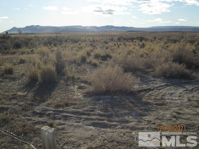 790 Highway 95 Hawthorne, NV 89415 - Photo 21 of 21 a view of a dry yard with green space