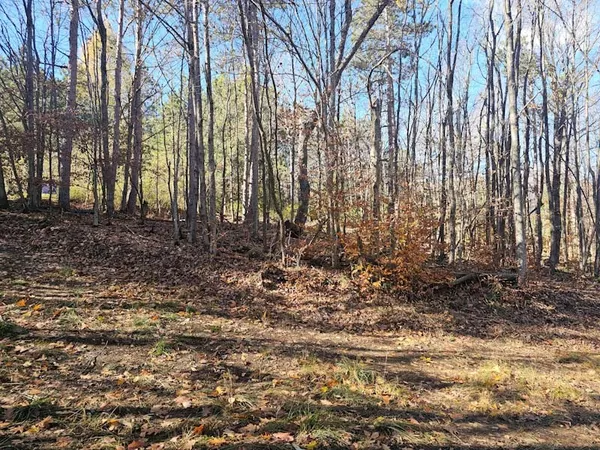 $44,900 | 0 Thunder Mountain East, Wayland, NY 14572