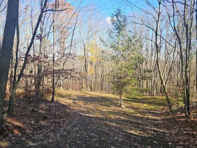 $44,900 | 0 Thunder Mountain East, Wayland, NY 14572