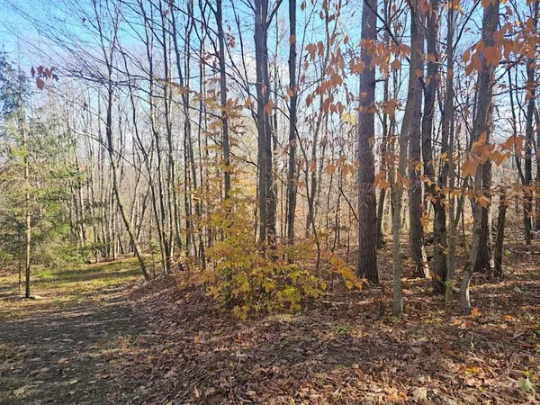 $44,900 | 0 Thunder Mountain East, Wayland, NY 14572